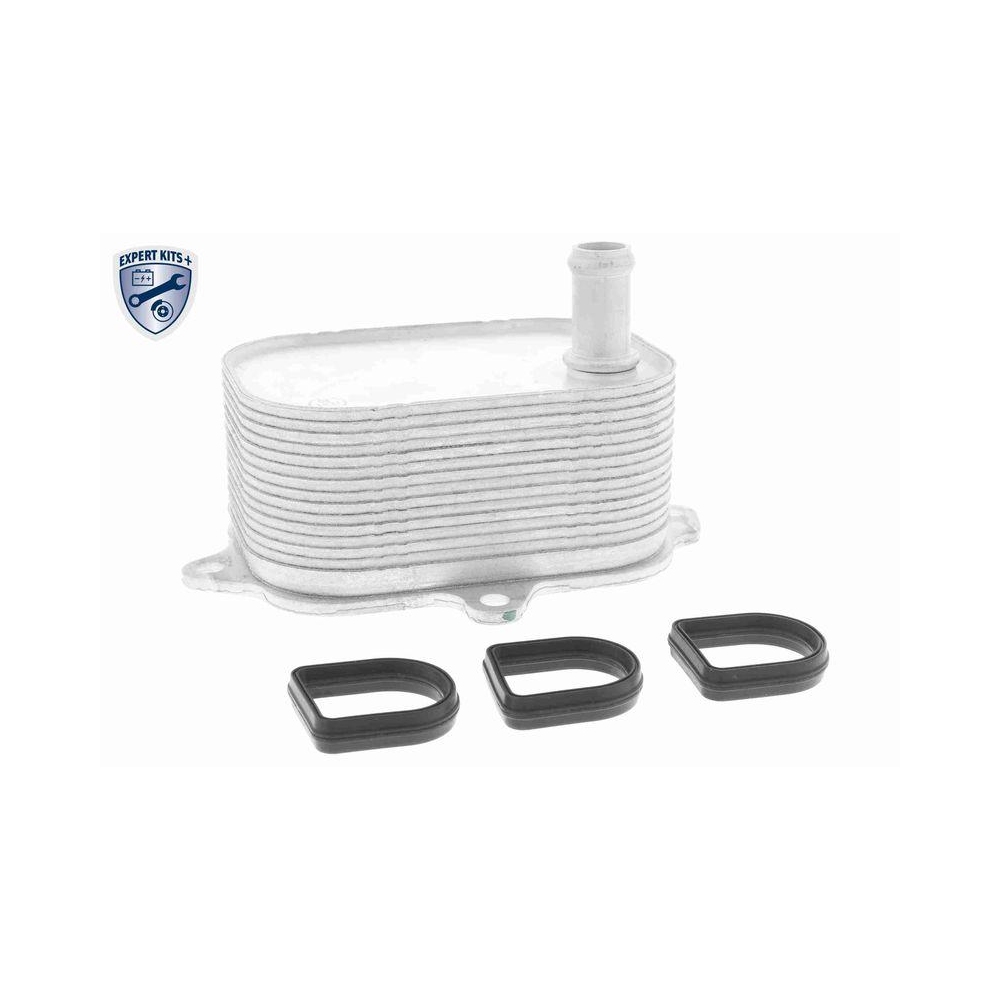 &Ouml;lk&uuml;hler, Motor&ouml;l VEMO V15-60-6088 EXPERT KITS + f&uuml;r AUDI VW VAG