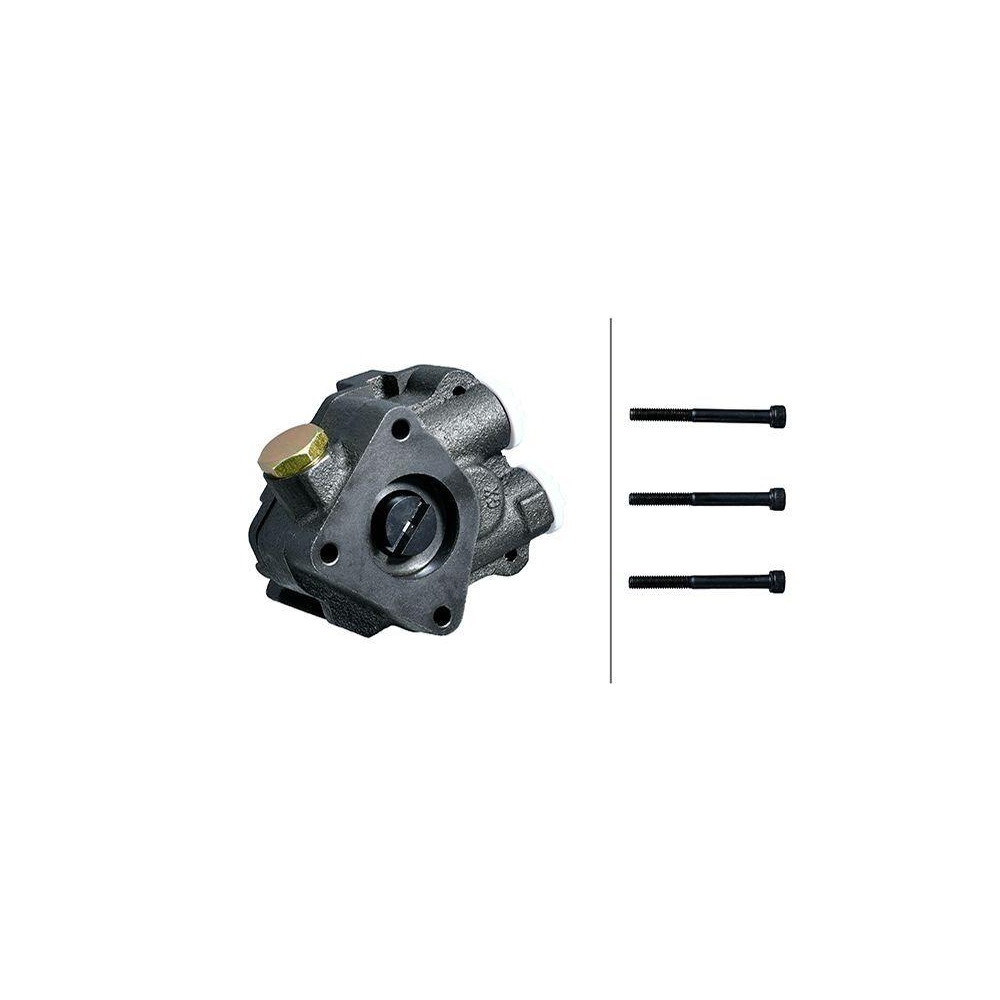 HELLA Pumpe, Kraftstoffvorförderung 8TP 358 304-291 für VOLVO RENAULT TRUCKS