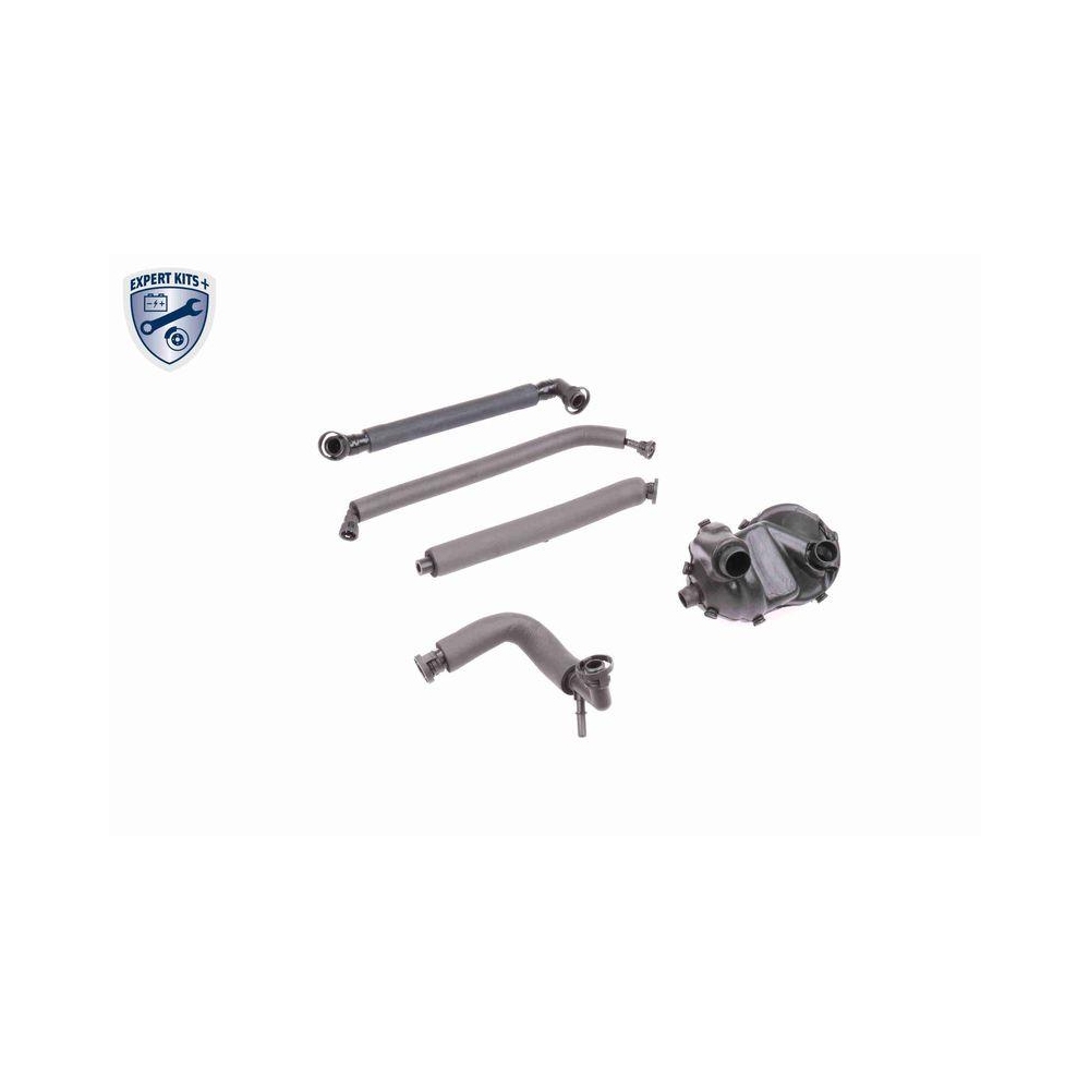 Reparatursatz, Kurbelgeh&auml;useentl&uuml;ftung VAICO V20-1872 EXPERT KITS + f&uuml;r BMW FORD