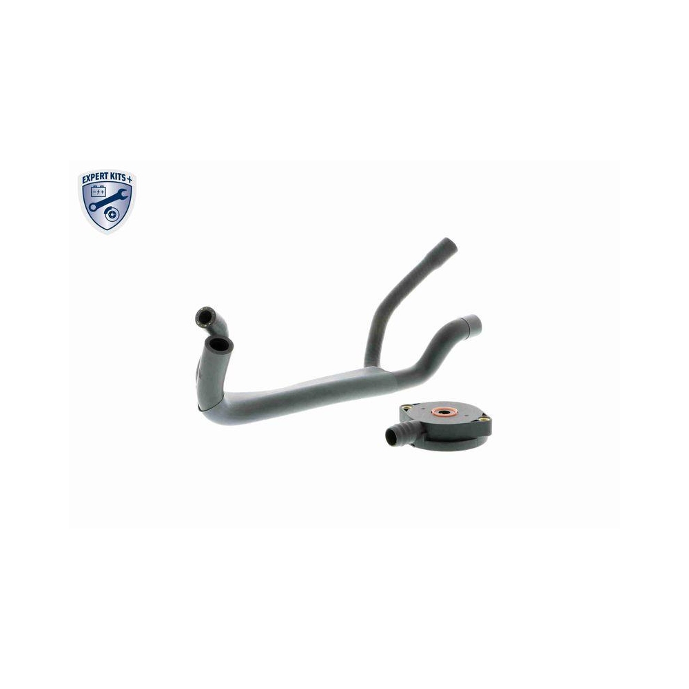 Reparatursatz, Kurbelgeh&auml;useentl&uuml;ftung VAICO V20-1920 EXPERT KITS + f&uuml;r BMW FORD