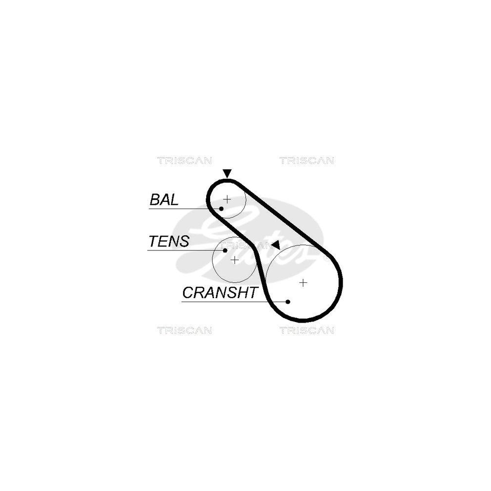 Zahnriemen TRISCAN 8645 5570xs f&uuml;r HYUNDAI KIA