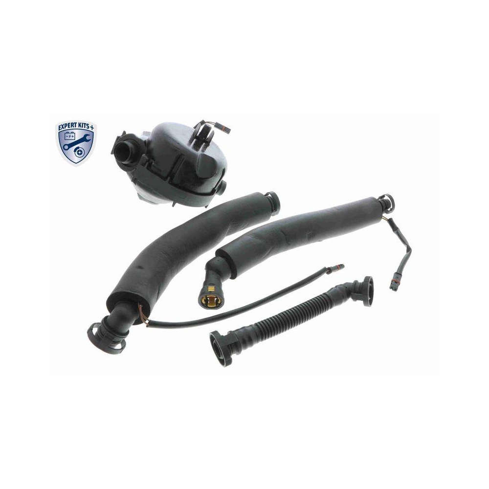 Reparatursatz, Kurbelgehäuseentlüftung VAICO V20-2254 EXPERT KITS + für BMW