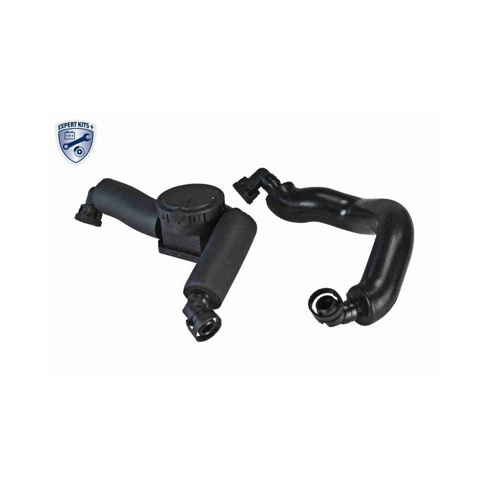 Reparatursatz, Kurbelgehäuseentlüftung VAICO V20-2737 EXPERT KITS + für BMW