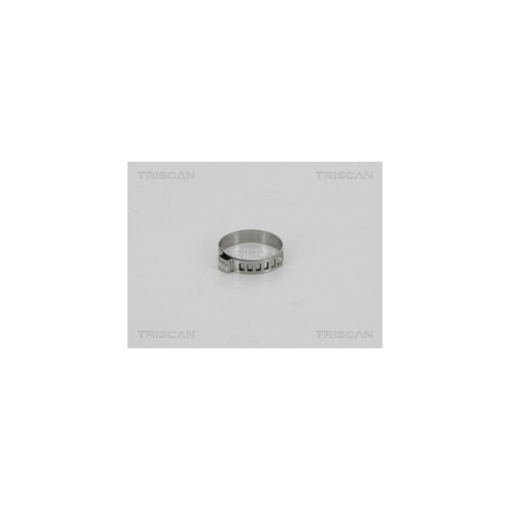 Spannband TRISCAN 8541 3137s für