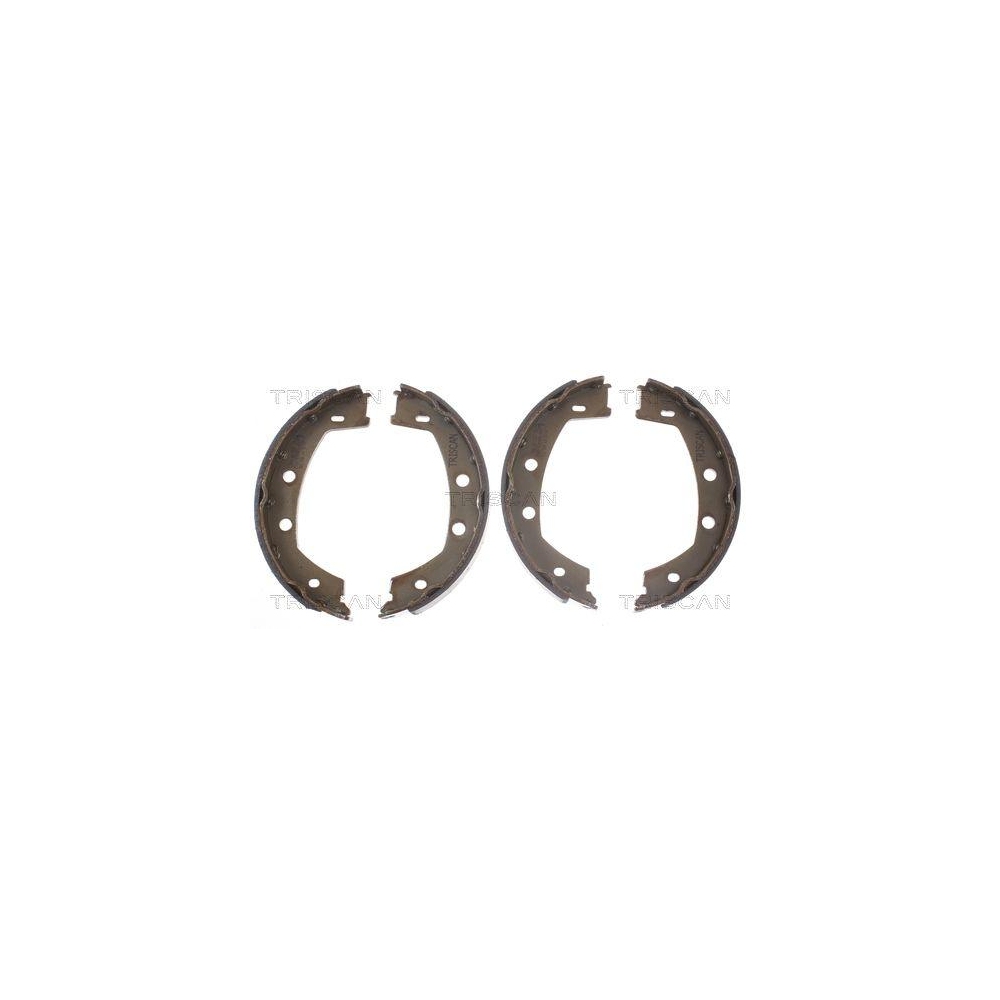 Bremsbackensatz, Feststellbremse TRISCAN 8100 17013 f&uuml;r LAND ROVER, Hinterachse