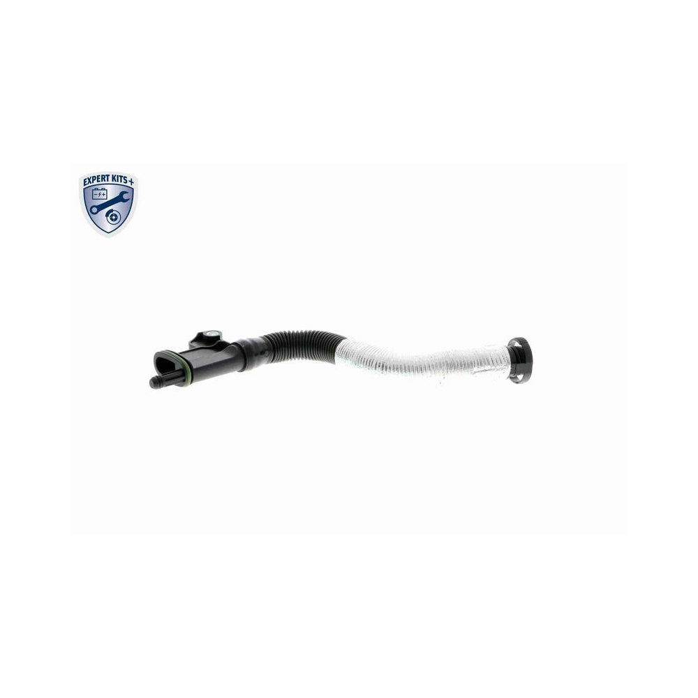 Schlauch, Kurbelgeh&auml;useentl&uuml;ftung VAICO V10-3879 Original VAICO Qualit&auml;t f&uuml;r VW