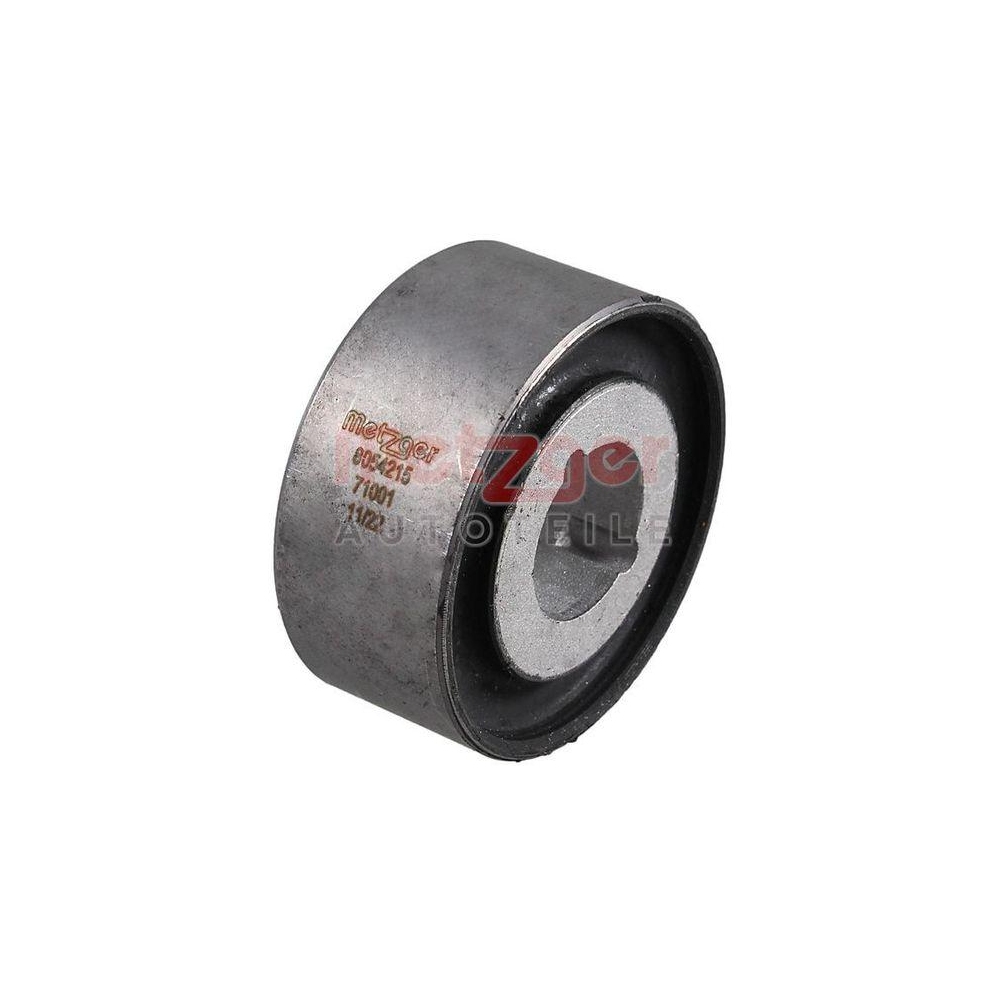 Lagerung, Differential METZGER 8054215 für MERCEDES-BENZ, Hinterachse links