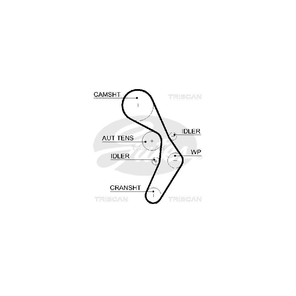 Zahnriemen TRISCAN 8645 5604xs für AUDI SEAT SKODA VW