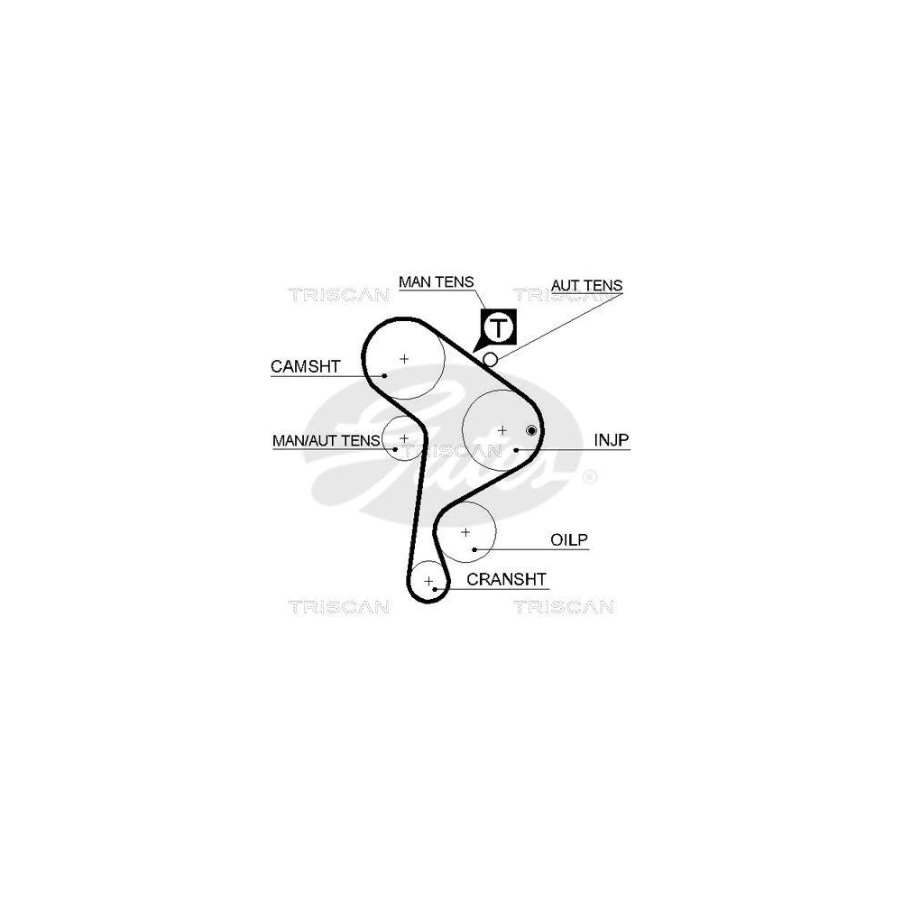 Zahnriemen TRISCAN 8645 5223xs f&uuml;r AUDI FORD SEAT VW DANA