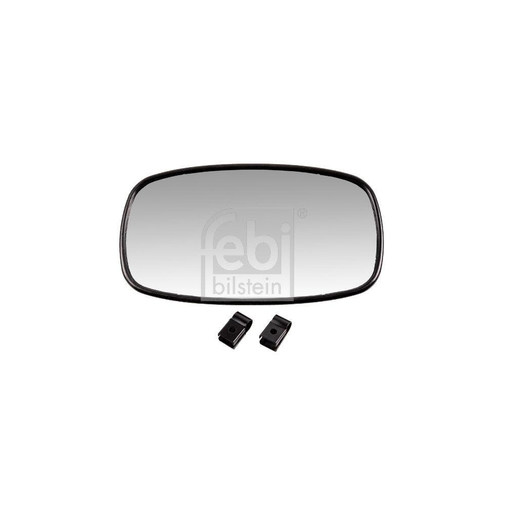 Außenspiegel, Fahrerhaus FEBI BILSTEIN 180000 für CASE IH FENDT, beidseitig