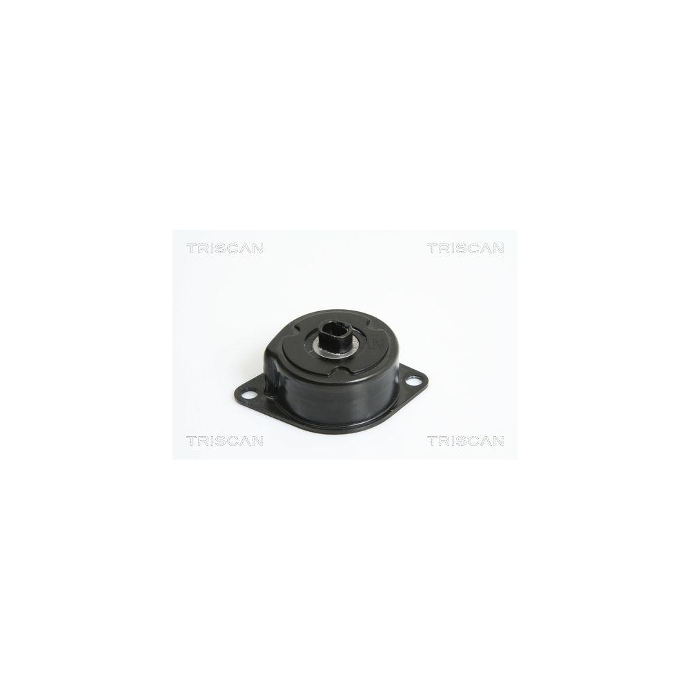 Riemenspanner, Keilrippenriemen TRISCAN 8641 293026 f&uuml;r AUDI SEAT SKODA VW
