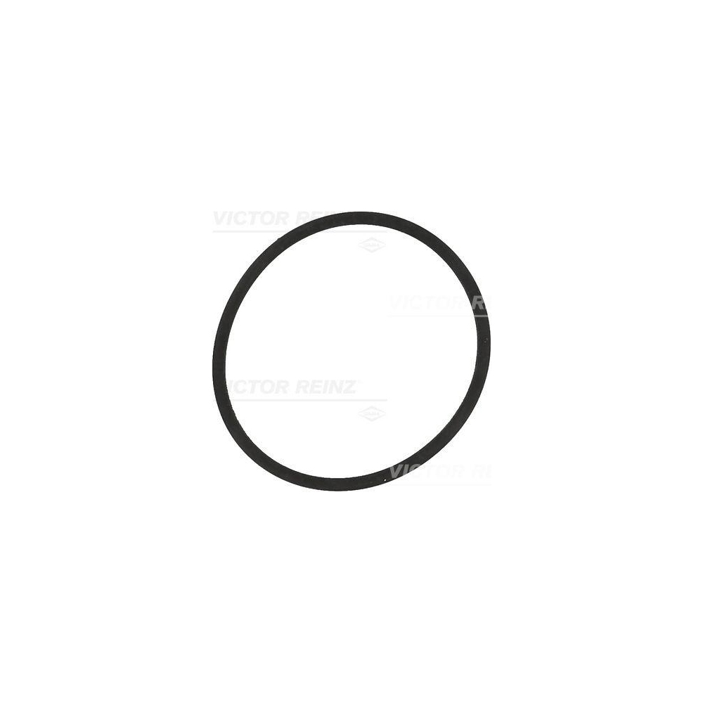 Dichtung, Ansaugkrümmer VICTOR REINZ 71-34204-00 für AUDI FORD SEAT SKODA VW VAG