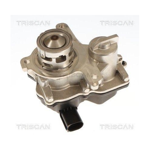 TRISCAN 8813 29119 AGR-Ventil f&uuml;r AUDI SEAT SKODA VW CUPRA