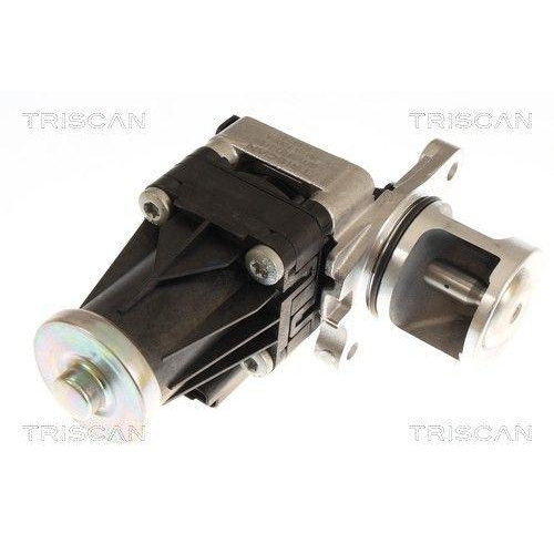 TRISCAN 8813 16074 AGR-Ventil f&uuml;r FORD