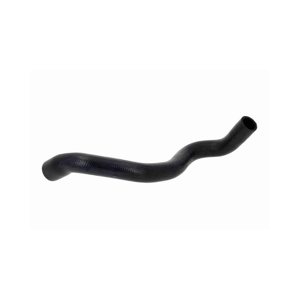 VAICO V46-1979 K&uuml;hlerschlauch Original VAICO Qualit&auml;t f&uuml;r RENAULT, oben