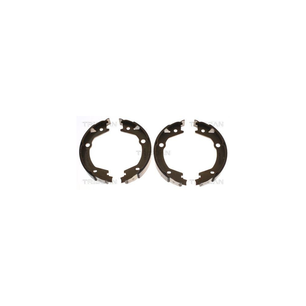 Bremsbackensatz, Feststellbremse TRISCAN 8100 43020 f&uuml;r SSANGYONG HYUNDAI KIA