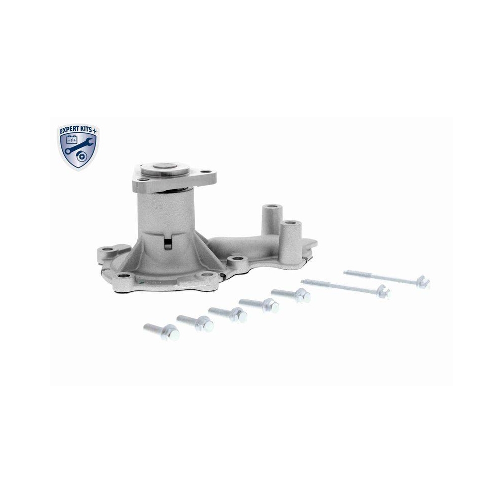 Wasserpumpe, Motork&uuml;hlung VAICO V25-50029 EXPERT KITS + f&uuml;r FORD VAUXHALL
