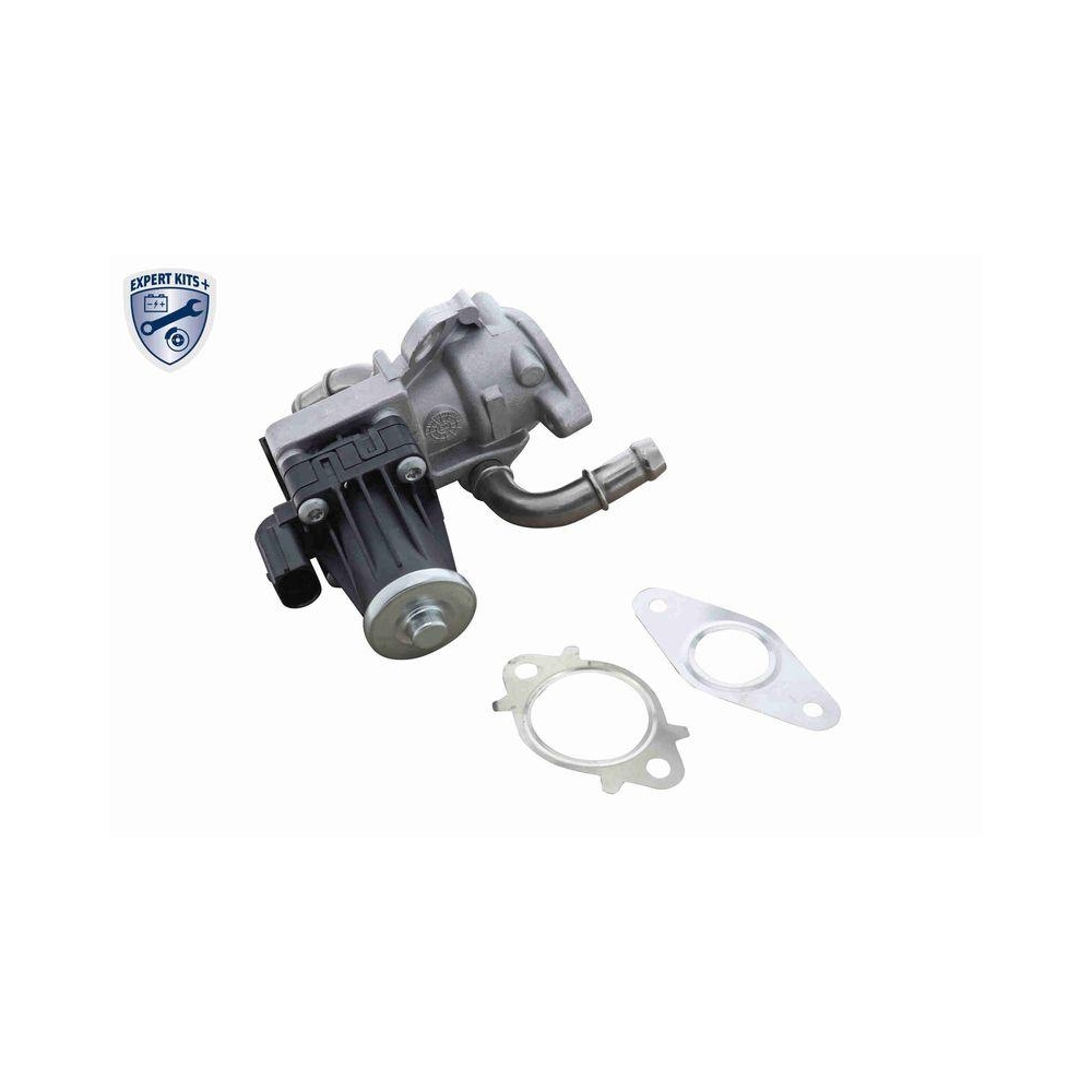 AGR-Ventil VEMO V25-63-0019-1 EXPERT KITS + f&uuml;r FORD FORD USA LAND ROVER
