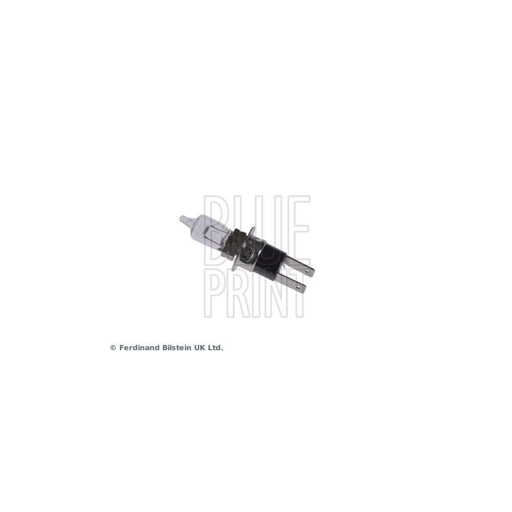 BLUE PRINT ADT31501 Gl&uuml;hlampe f&uuml;r TOYOTA LEXUS