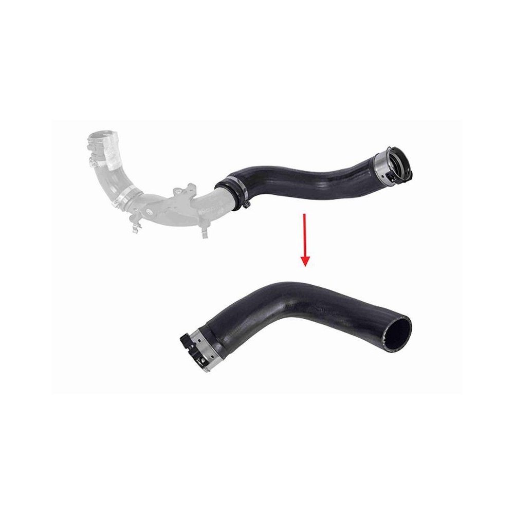 Ladeluftschlauch VAICO V46-1725 Q+, Erstausr&uuml;sterqualit&auml;t f&uuml;r RENAULT