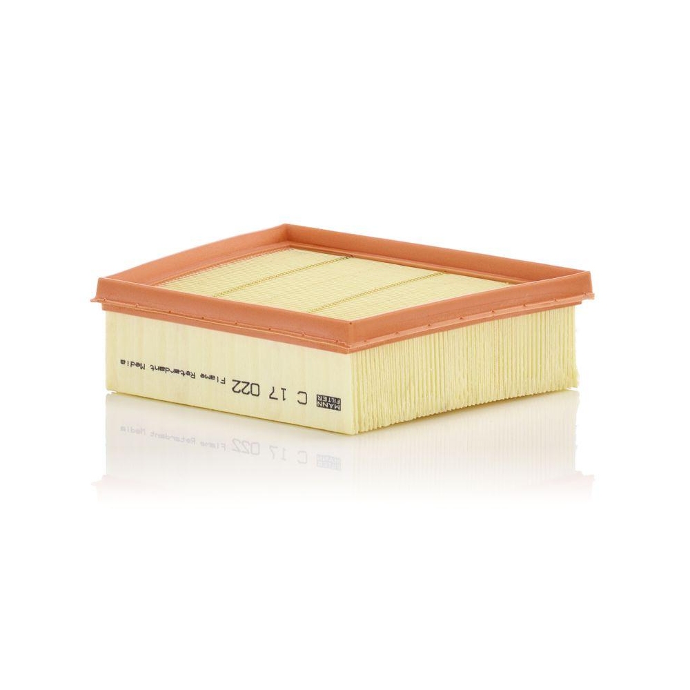 Luftfilter MANN-FILTER C 17 022 f&uuml;r FORD