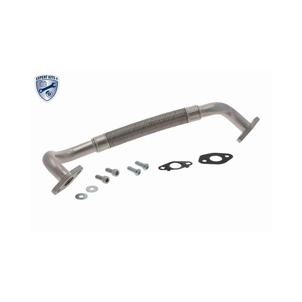VAICO V10-000168 &Ouml;lleitung, Lader EXPERT KITS + f&uuml;r AUDI SEAT SKODA VW