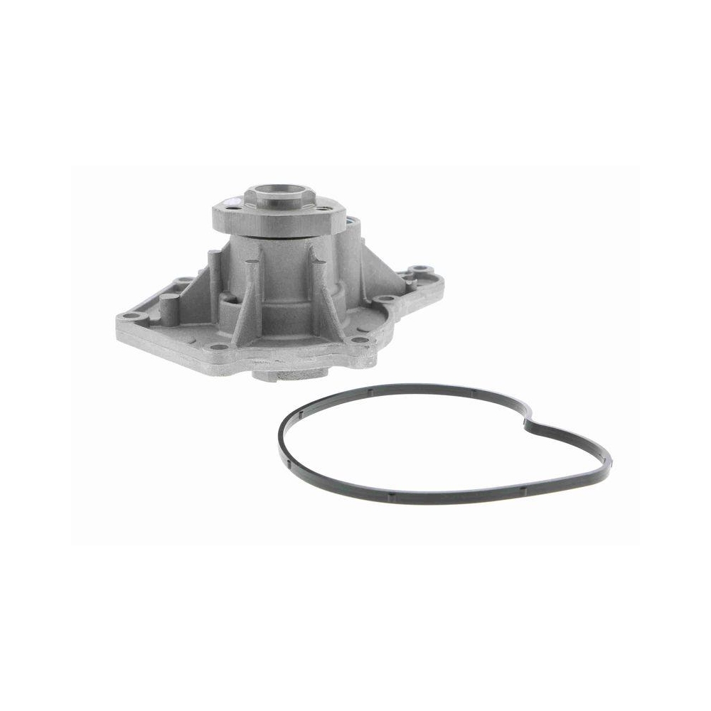 Wasserpumpe, Motork&uuml;hlung VAICO V10-50066 Original VAICO Qualit&auml;t f&uuml;r AUDI SEAT