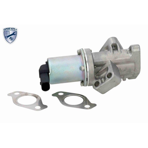 ACKOJA A53-63-0007 AGR-Ventil EXPERT KITS + f&uuml;r KIA