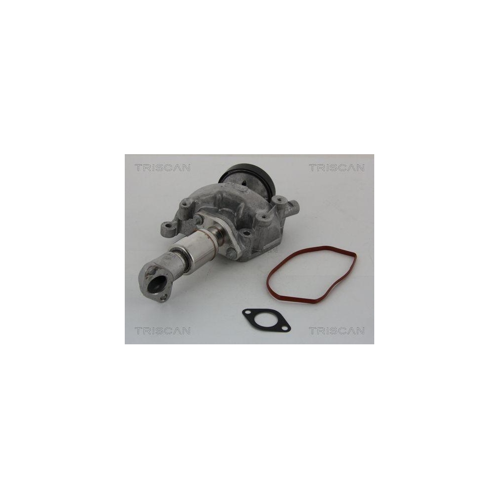 AGR-Ventil TRISCAN 8813 23023 f&uuml;r MERCEDES-BENZ