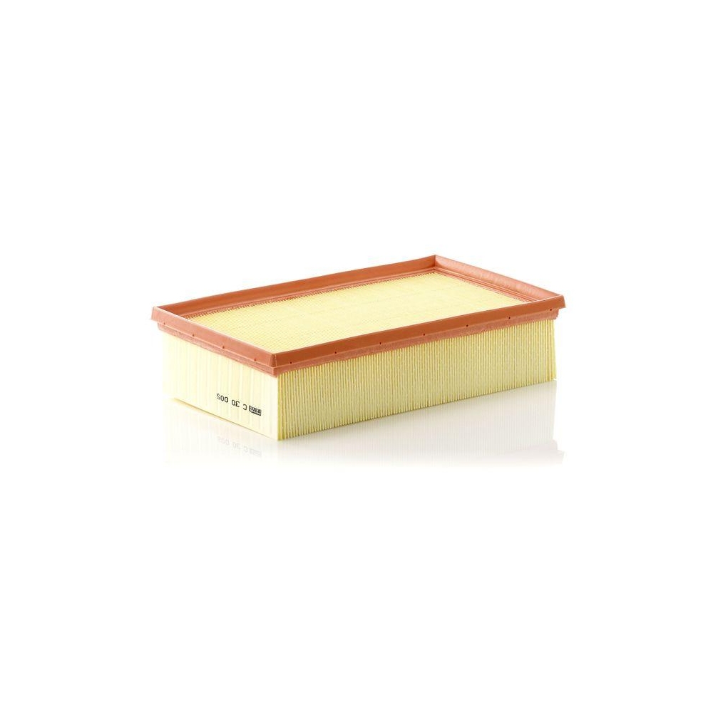 Luftfilter MANN-FILTER C 30 005 für FORD VAG