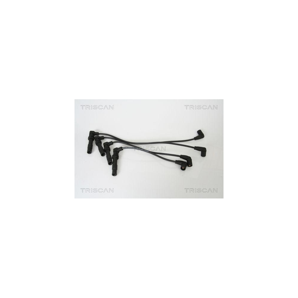 Z&uuml;ndleitungssatz TRISCAN 8860 4207 f&uuml;r