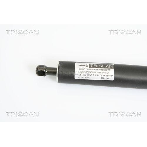 Gasfeder, Koffer-/Laderaum TRISCAN 8710 29264 f&uuml;r AUDI VW, hinten links