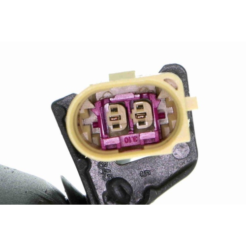 Lagerung, Motor VAICO V10-3755 Green Mobility Parts f&uuml;r AUDI SEAT SKODA VW VAG