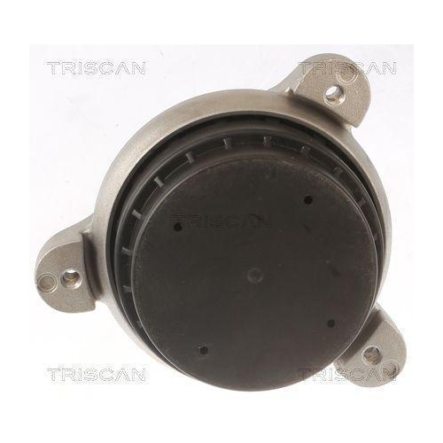 Spurstangenkopf TRISCAN 8500 11116 f&uuml;r BMW, Vorderachse links, au&szlig;en