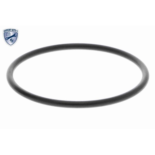 ACKOJA A38-50011 Wasserpumpe, Motork&uuml;hlung EXPERT KITS + f&uuml;r NISSAN