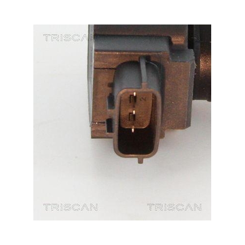 Z&uuml;ndspule TRISCAN 8860 10029 f&uuml;r JAGUAR