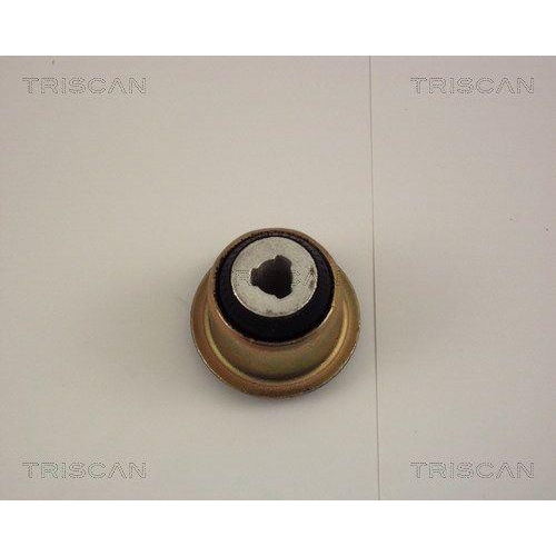 Lagerung, Lenker TRISCAN 8500 25806 f&uuml;r NISSAN RENAULT, Vorderachse, hinten