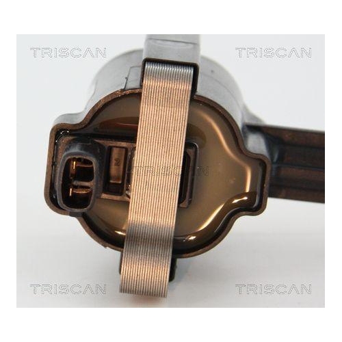 Z&uuml;ndspule TRISCAN 8860 10031 f&uuml;r JAGUAR