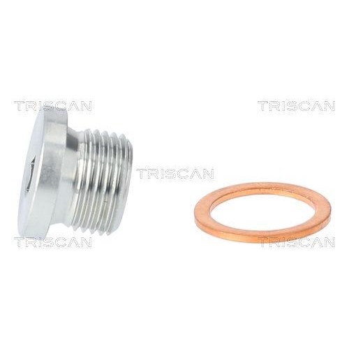 Verschlussschraube, Ölwanne TRISCAN 9500 1106 für BMW RENAULT