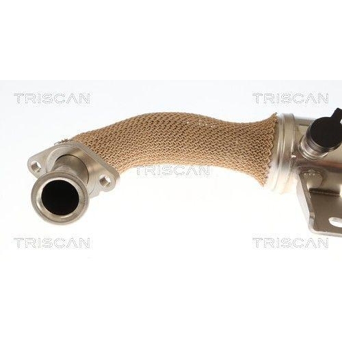 TRISCAN 8813 10059 K&uuml;hler, Abgasr&uuml;ckf&uuml;hrung f&uuml;r ALFA ROMEO FIAT OPEL SAAB
