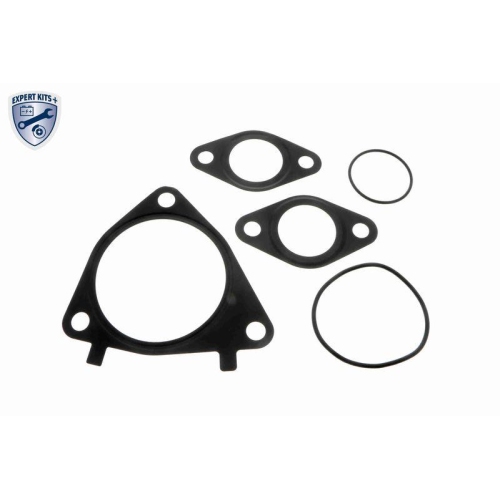 AGR-Ventil VEMO V24-63-0008 EXPERT KITS + f&uuml;r ALFA ROMEO CITRO&Euml;N FIAT IVECO