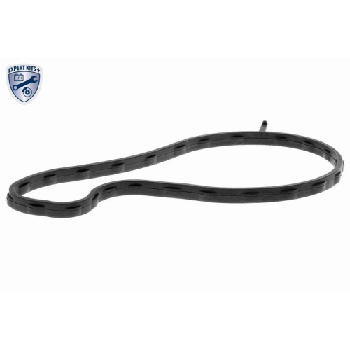 ACKOJA A70-50027 Wasserpumpe, Motork&uuml;hlung EXPERT KITS + f&uuml;r CITRO&Euml;N PEUGEOT