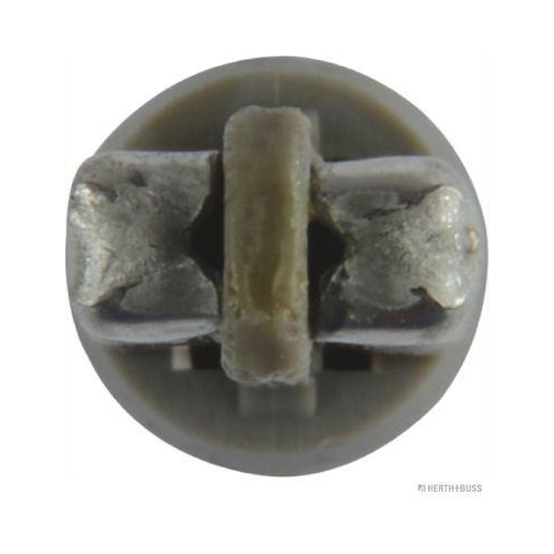 Glühlampe, Instrumentenbeleuchtung HERTH+BUSS ELPARTS 89901230 für MERCEDES-BENZ