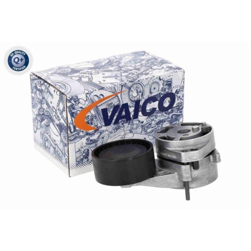 Riemenspanner, Keilrippenriemen VAICO V10-8919 Q+, Erstausr&uuml;sterqualit&auml;t f&uuml;r VW