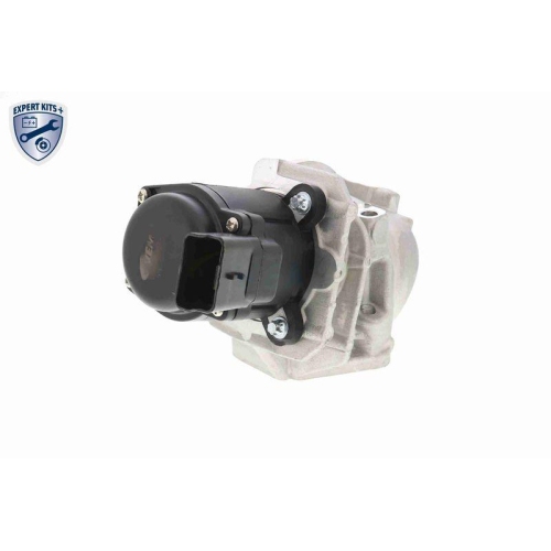 AGR-Ventil VEMO V42-63-0002 EXPERT KITS + f&uuml;r ALFA ROMEO CITRO&Euml;N FIAT FORD VOLVO