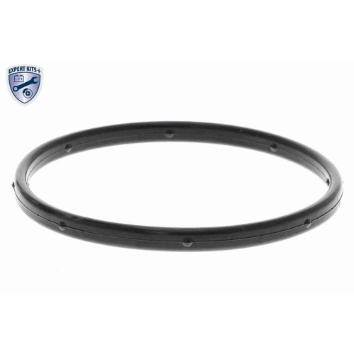 ACKOJA A53-50010 Wasserpumpe, Motork&uuml;hlung EXPERT KITS + f&uuml;r HYUNDAI KIA