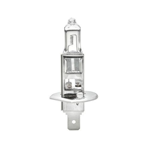 HELLA Glühlampe 8GH 002 089-491 HEAVY DUTY EXPERT für MAN SOLARIS VDL