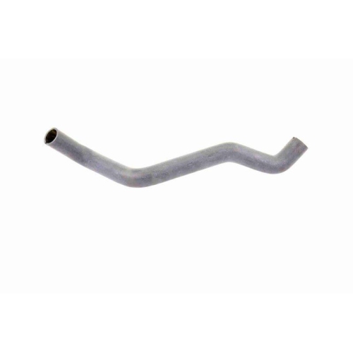 Kühlerschlauch VAICO V22-0370 Q+, Erstausrüsterqualität für CITROËN PEUGEOT