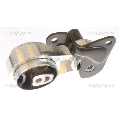 Lagerung, Motor TRISCAN 8505 10102 f&uuml;r FORD MAZDA, hinten, links, rechts, unten