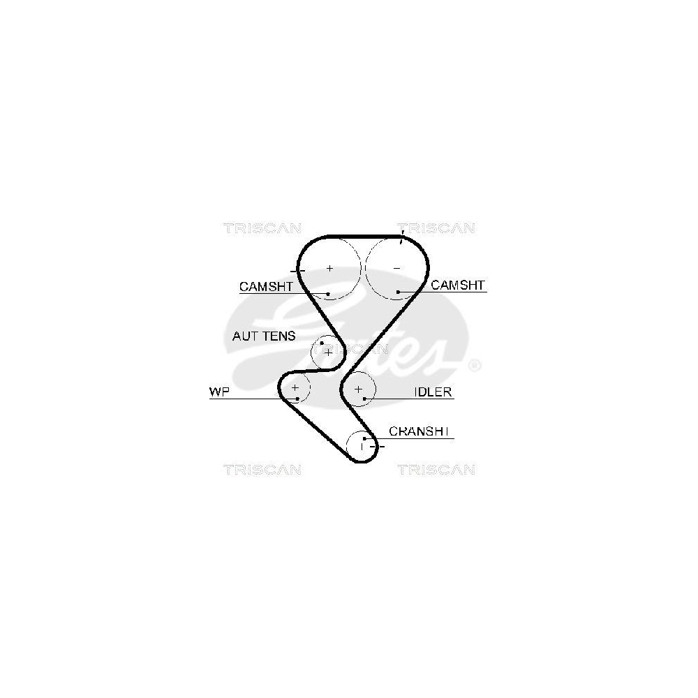 Zahnriemen TRISCAN 8645 5615xs f&uuml;r CITRO&Euml;N PEUGEOT